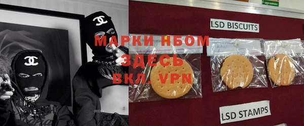 твердый Володарск