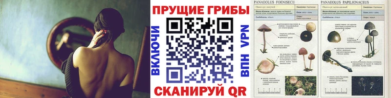 Псилоцибиновые грибы мухоморы  hydra   Норильск 