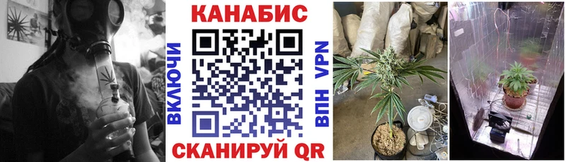 shop телеграм  hydra ссылки  Норильск  Бошки Шишки THC 21% 